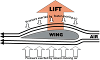 aircraft wing